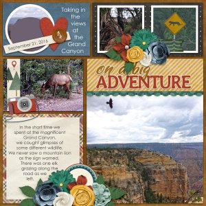 GC Wildlife