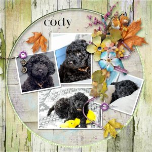 Template-chall-by-scrapbookcrazy Sep 2025
