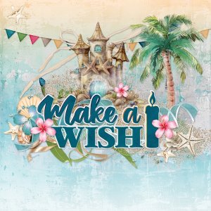 Make a Wish