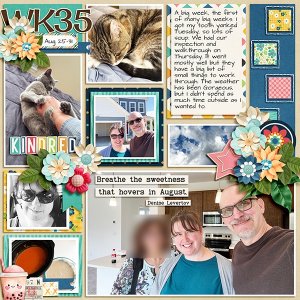 2025 PL Week 35