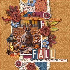 DLPatt_Fall_web.jpg