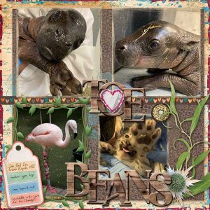 hippo-toe-beans-webv.jpg