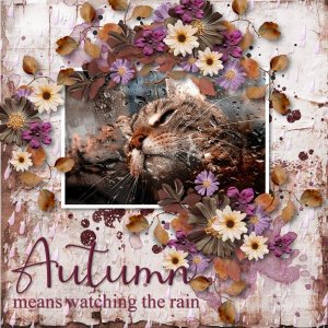 rainy day