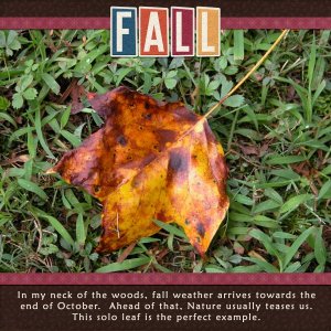 Fall Teases