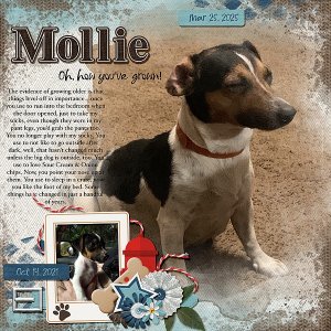 Mollie