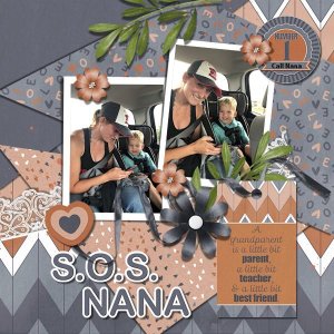 DLPatt_S.O.S.NANA_web.jpg