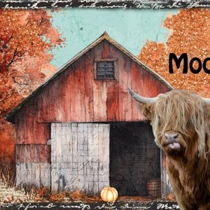 Moo!