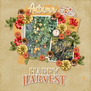 Happy Harvest