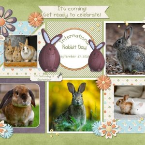 International-Rabbit-Day