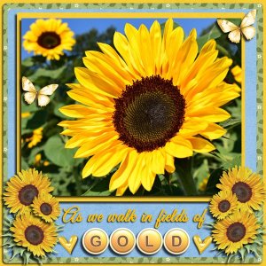 When We Walked In Fields Of Gold