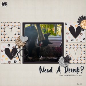Need ADrink