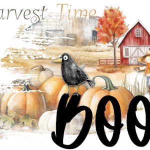 Harvest Time-Boo!