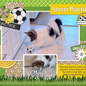 Soccer-Practice