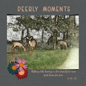 Deerly Moments
