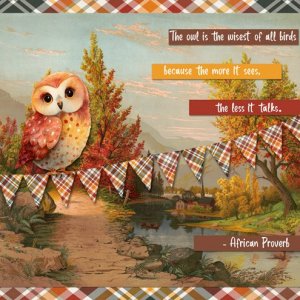 The-Owl