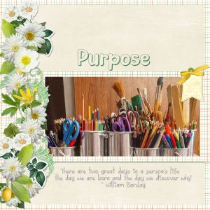 purpose.jpg