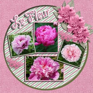 Le Fluer