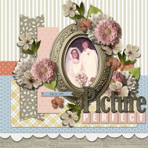 DLPatt_PicturePerfect_web.jpg