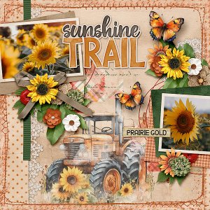 Sunshine Trail