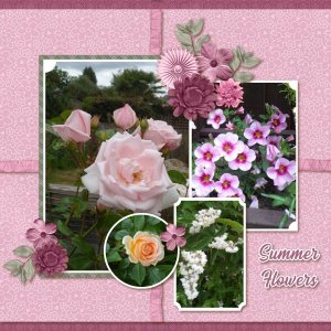 Summer Flowers