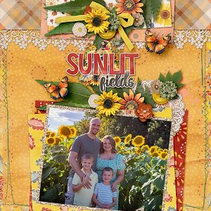 Sunlit-Fields-web.jpg