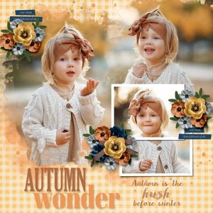 Autumn Wonder