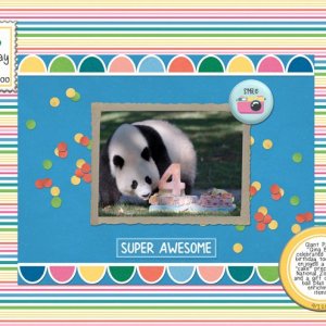 Birthday-Time-at-the-Zoo