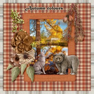 Autumn-colours.jpg
