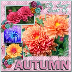 The Sweet Scent of Autumn