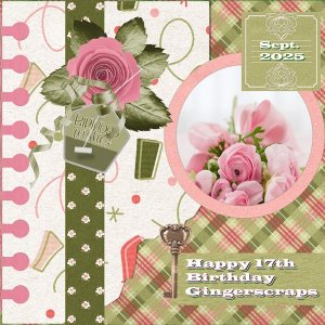 Sept.2025-GS- Birthday-Use-It-All-Happy17thBirthdayGingerscraps.jpg