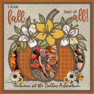 Autumn at Arboretum.jpg