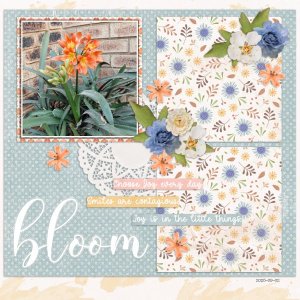 2025-09-02_Bloom