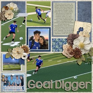 Goal Digger