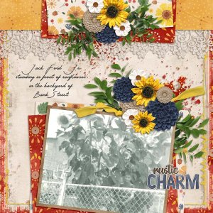 Sunflowers with Temp #4-Aimee.jpg