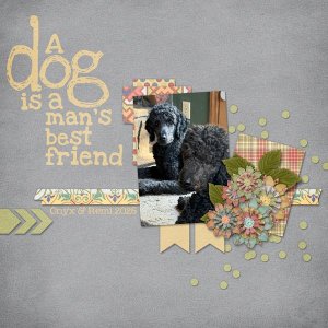 Man's Best Friend