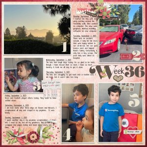 Week-36_Mon-01-Sep_to_Sun-07-Sep-2025.jpg