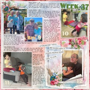 Week-37_Mon-08-Sep_to_Sun-14-Sep-2025.jpg