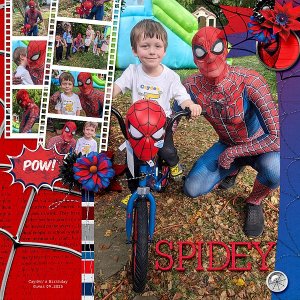 Spidey Birthday