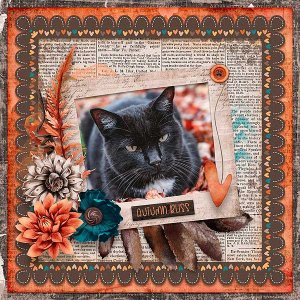 Autumn Bliss