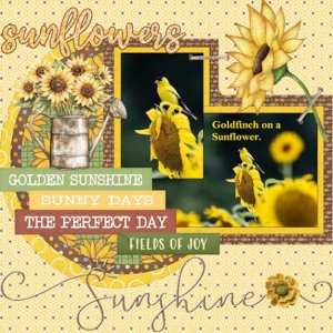 Sept.2025 GingerScraps- Created With Rewards-Goldfinch on a sunflower.jpg