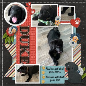 Duke
