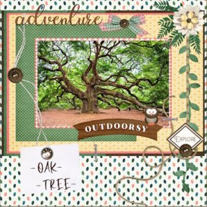 Sept. 2025 - Font Challenge -OAK-TREE-.jpg
