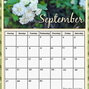 September 2026 Calendar Page