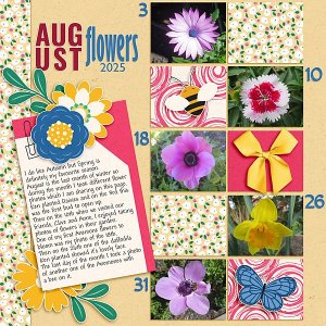 Flowers in August