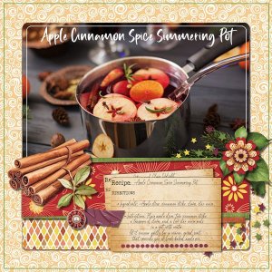 DLPatt_AppleCinnamonSpiceSimmeringPot_web.jpg