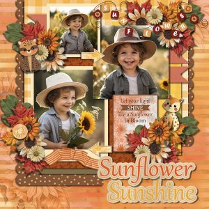 DLPatt_SunflowerSunshine_web.jpg