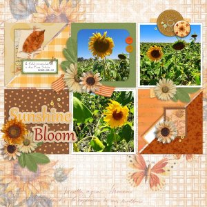 2023-03-13_SunshineBloom