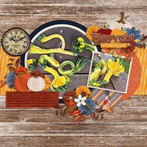 Harvest of Happiness