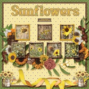 Sunflowers small.jpg