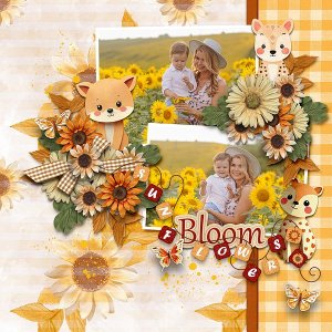 sunflower stories